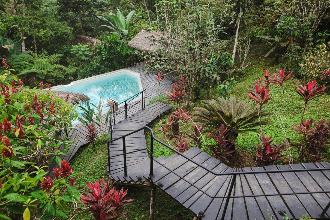 Hamadryade Lodge Misahualli Exterior photo